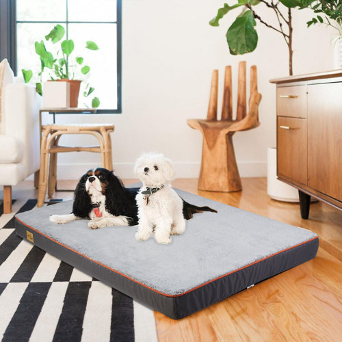 Bingo Paw Orthopedic Mat/Pad in Grey & Reviews Wayfair.co.uk